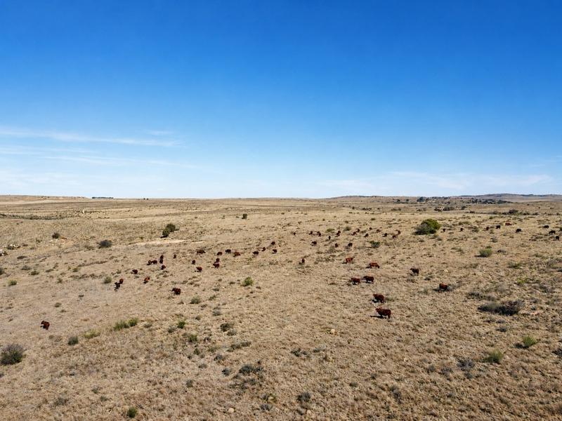 0 Bedroom Property for Sale in Lindley Free State